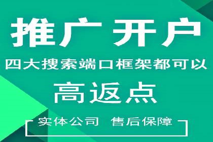 案例分享：网络推广竞价策略应用